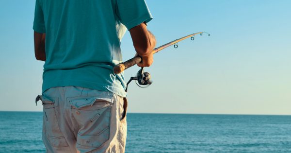best fishing cheap rods